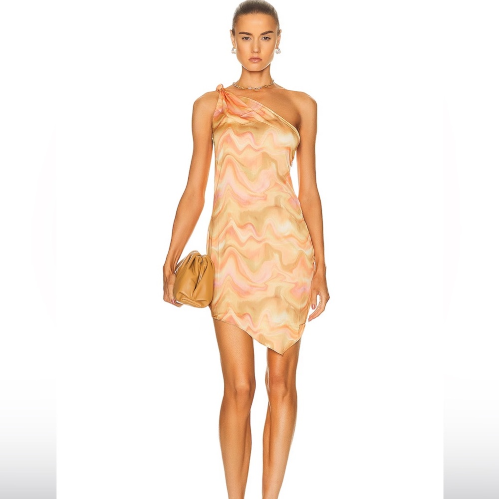 REVOLVE Roma Dress